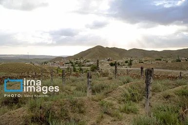 گزارش تصویری | قبرستان چوبی «باغلق»