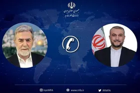 گفت&zwnj;وگوی تلفنی وزیر امور خارجه با زیاد نخاله