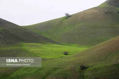 ایران زیباست | زمستان بَهاری در فارس