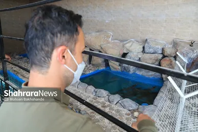 مزرعه پرورش کروکودیل در مشهد
