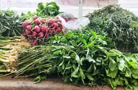 سبزی در آستانه ماه مبارک رمضان کیلویی چند است؟ | قیمت امروز میوه و تره‌بار در مشهد (۲۹ بهمن ۱۴۰۴)‌