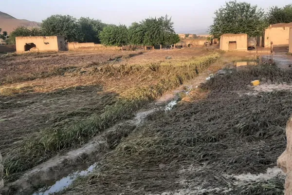 سیل در ولایت غور افغانستان جان ۵۰ نفر را گرفت + فیلم و عکس