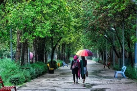 دانلود آهنگ و ترانه با موضوع باران + متن