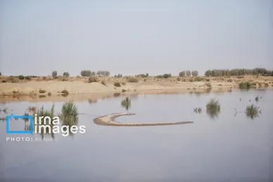 گزارش تصویری | ورود آب به سیستان پس از سال‌ها خشکسالی
