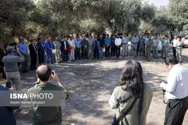 رهاسازی ۶ رأس گوزن زرد ایرانی در پارک ملی دز و کرخه