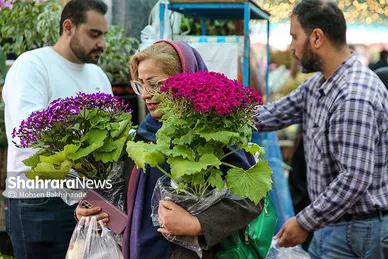 حال و هوای بازار گل در آستانه عید نوروز