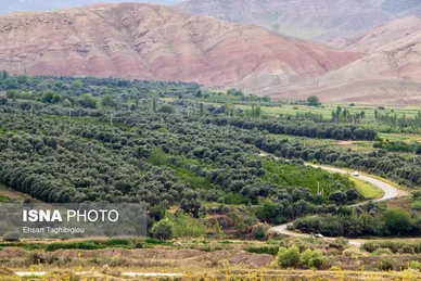 ایران زیباست | طبیعت بهاری «طارُم»، هندوستان ایران