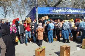 توزیع بیش از ۷۰۰ تن میوه و خرما در جایگاه&zwnj;های عرضه مستقیم میوه مشهد (۴ فروردین ۱۴۰۴)