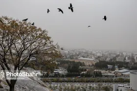 استفاده از تجربه&zwnj;های ایران برای کنترل گرد و غبار در تاجیکستان