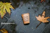 پیش‌بینی هواشناسی مشهد و خراسان رضوی، امروز (پنجشنبه، ۲۳ بهمن ۱۴۰۴) | از هفته آینده هوا سرد می‌شود