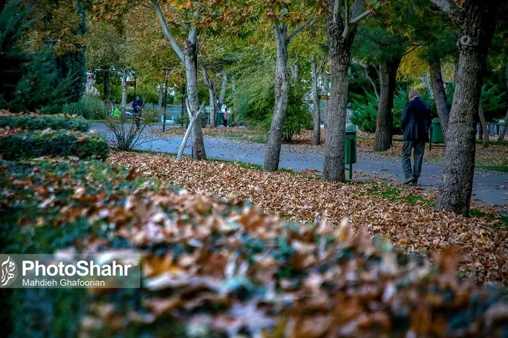 بازنشستگان تأمین اجتماعی: نمایندگان ما در مشاغل سخت چه کسانی بودند؟