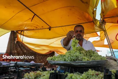 چهارشنبه بازار مجیدیه