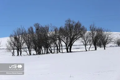 ایران زیباست | طبیعت برفیِ «هندودر»