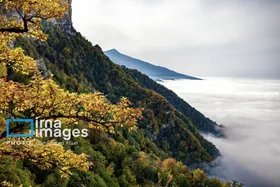 ایران زیباست | پاییز در جنگل&zwnj;های گلستان