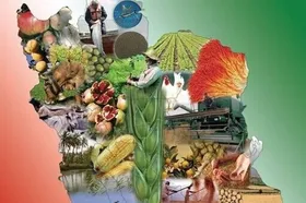برگزاری دومین همایش ملی پژوهش&zwnj;های کاربردی در امنیت غذایی، ایمنی غذایی و سلامت در مشهد