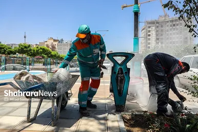 پاکبانان شهر