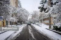 هوای پاک مشهد با برف تمام می‌شود؟ (یکشنبه، ۳۰ آذر ۱۴۰۴)