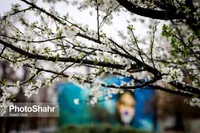 پیش‌بینی هواشناسی کشور تا پایان فروردین ۱۴۰۴