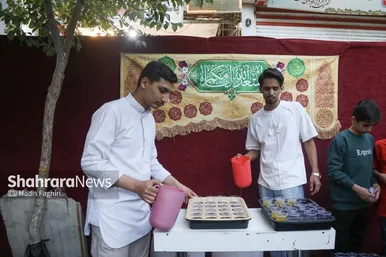 گزارش تصویری | جشن میلیونی امام‌رضایی‌ها در شب میلاد امام‌رضا (ع) / ۲