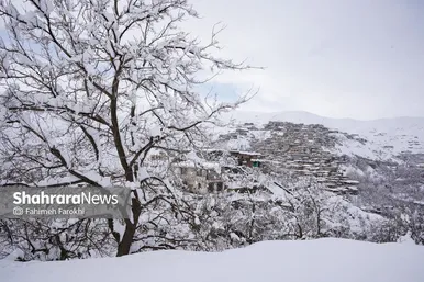 گزارش تصویری | طبیعت زمستانی روستای کنگ