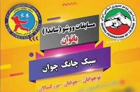 قهرمانی مشهد در مسابقات ووشوی بانوان استان