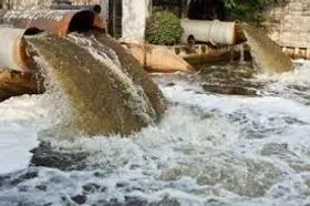 بیش از ۳ هزار تخلف زیست&zwnj;محیطی در مشهد ثبت شد