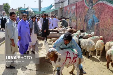 گزارش تصویری | عید قربان در زاهدان