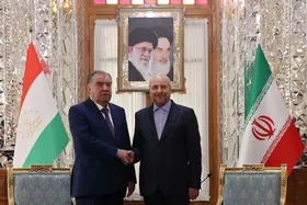 دیدار رئیس&zwnj;جمهور تاجیکستان و رئیس مجلس شورای اسلامی + ویدئو