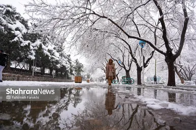 گزارش تصویری | بارش زیبای برف در مشهد
