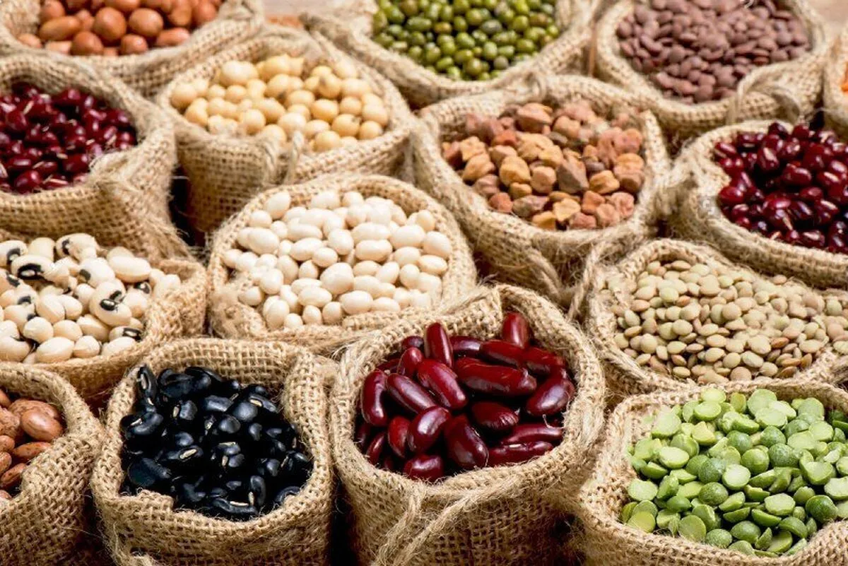 آیا حبوبات در آستانه ماه رمضان و نوروز گران‌تر می‌شود؟