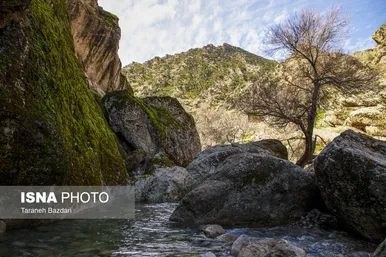 ایران زیباست | مخمل کوه در گستره زاگرس - لرستان