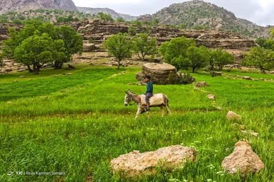 ایران زیباست | طبیعت چشم نواز بازفت - چهارمحال و بختیاری
