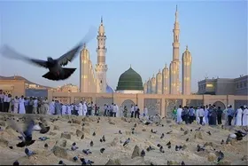 تشرف ۱۰ میلیون زائر به مدینه در ۱۰ روز نخست ماه رمضان ۱۴۰۳
