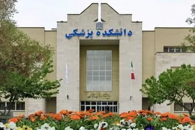 شربت اپیوم از چرخه درمان اعتیاد مشهد خارج شد | مجوز کشت خشخاش برای دارو در اختیار استان&zwnj;ها نیست