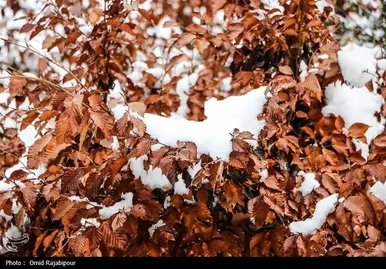 زمستان در اشکورات گیلان