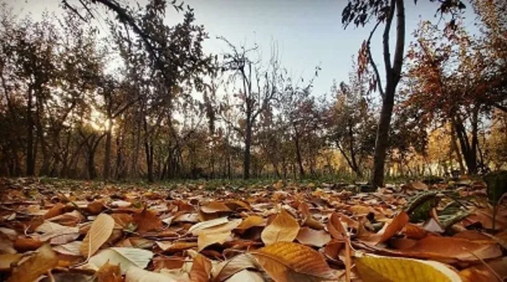 شهروند خبرنگار| پاییز در روستای کاهو