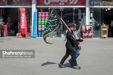 زائران پیاده امام رضا (ع)