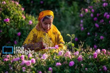 ایران زیباست | گل و گلاب میمند