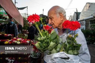 ایران زیباست | بازار گل محلاتی در روزهای پایانی ۱۴۰۳