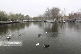 تداوم وزش باد و افزایش ابرناکی در خراسان رضوی | اواخر هفته سرد خواهد شد (۶ آذر ماه ١۴٠١)