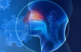 علت از دست دادن حس بویایی و چشایی پس از ابتلا به کرونا + فیلم