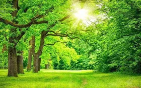 چرا تابستان فصل محبوب میکروب&zwnj;هاست؟