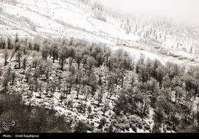 زمستان در اشکورات گیلان