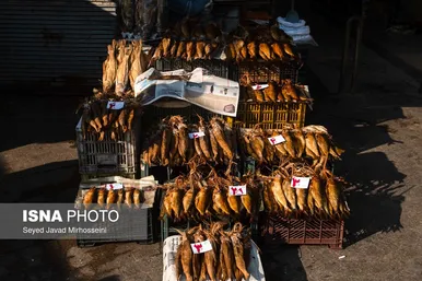 ماهی دودی