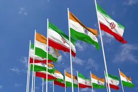 سخنگوی وزارت خارجه: پیوند&zwnj;های دوستی ایران و هند ریشه&zwnj;های عمیق تاریخی دارد
