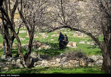 ایران زیباست | اندک اندک می‌رسد اینک بهار