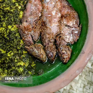 رشت شهر غذاهای خوشمزه