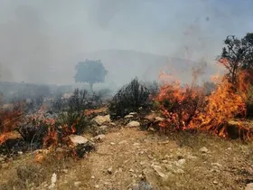 آتش&zwnj;سوزی در مزارع روستای &laquo;چارمه&raquo; شهرستان کهگیلویه خاموش شد (۱۱ خرداد ۱۴۰۵)