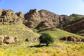 ایران زیباست | طبیعت پارک ملی تندوره