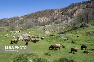 ایران زیباست | ارتفاعات برفچال؛ شهرستان مینودشت